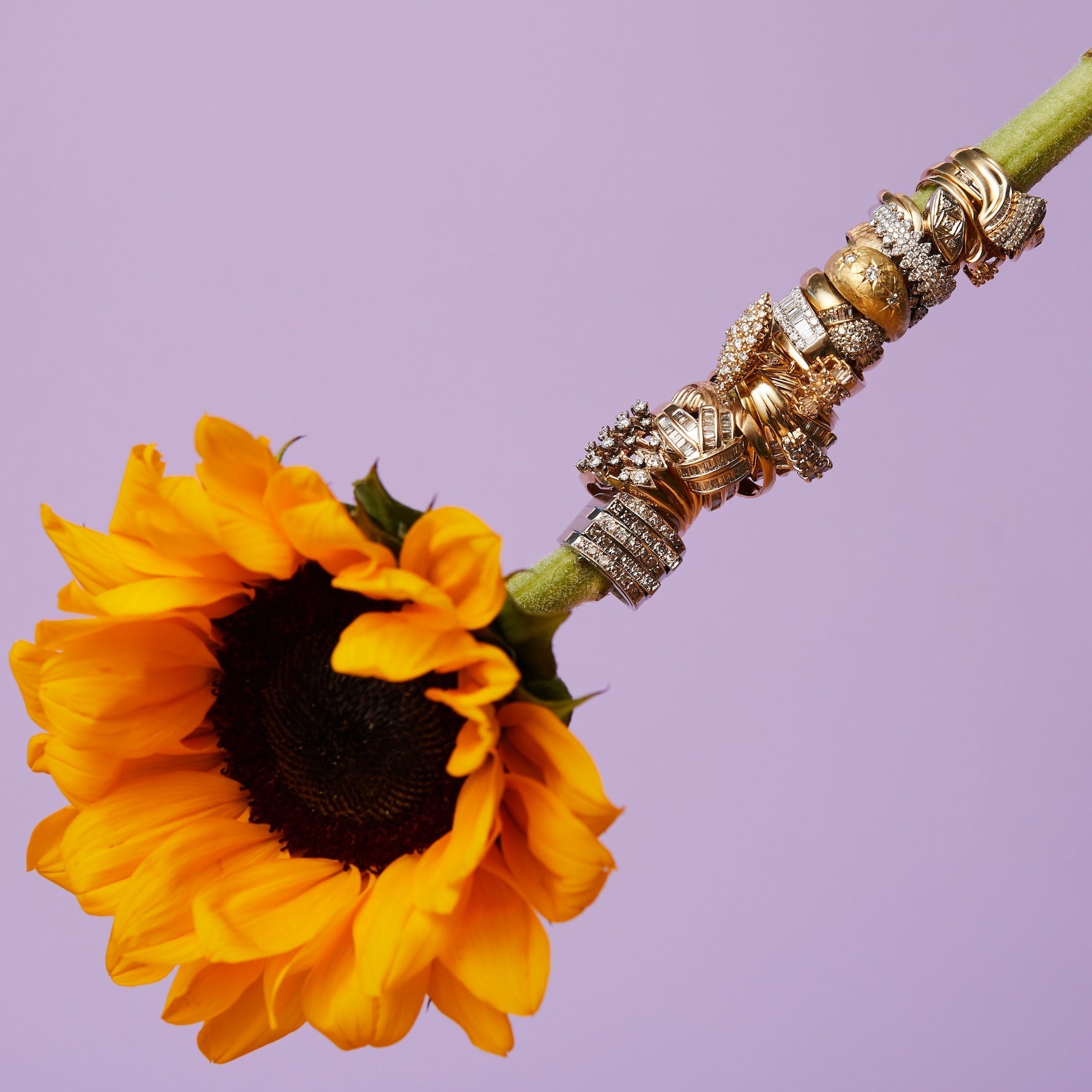 Kota Jewelry